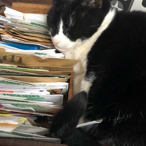 Meet your Posher, Paula